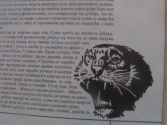 11061250_1586360891608698_6908756461463925896_n