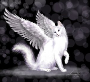 angel_cat_by_legadema666-d6dpmmx