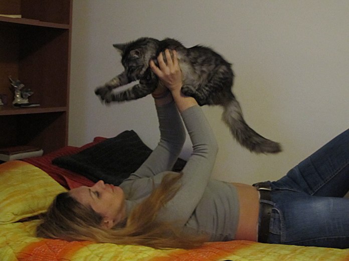 12605331_173741199648543_3422781219120191768_o