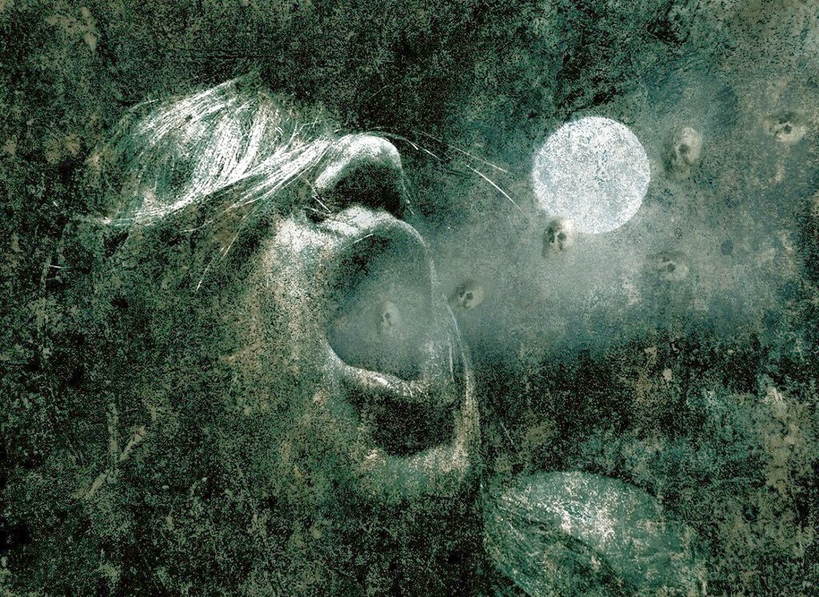 Horror-Wallpapers-38 (www.darkwallz.com)